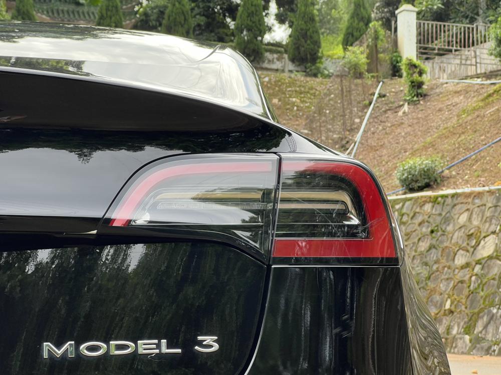 Tesla Model 3 2021 #10 Tesla Model 3 2021 car image #10