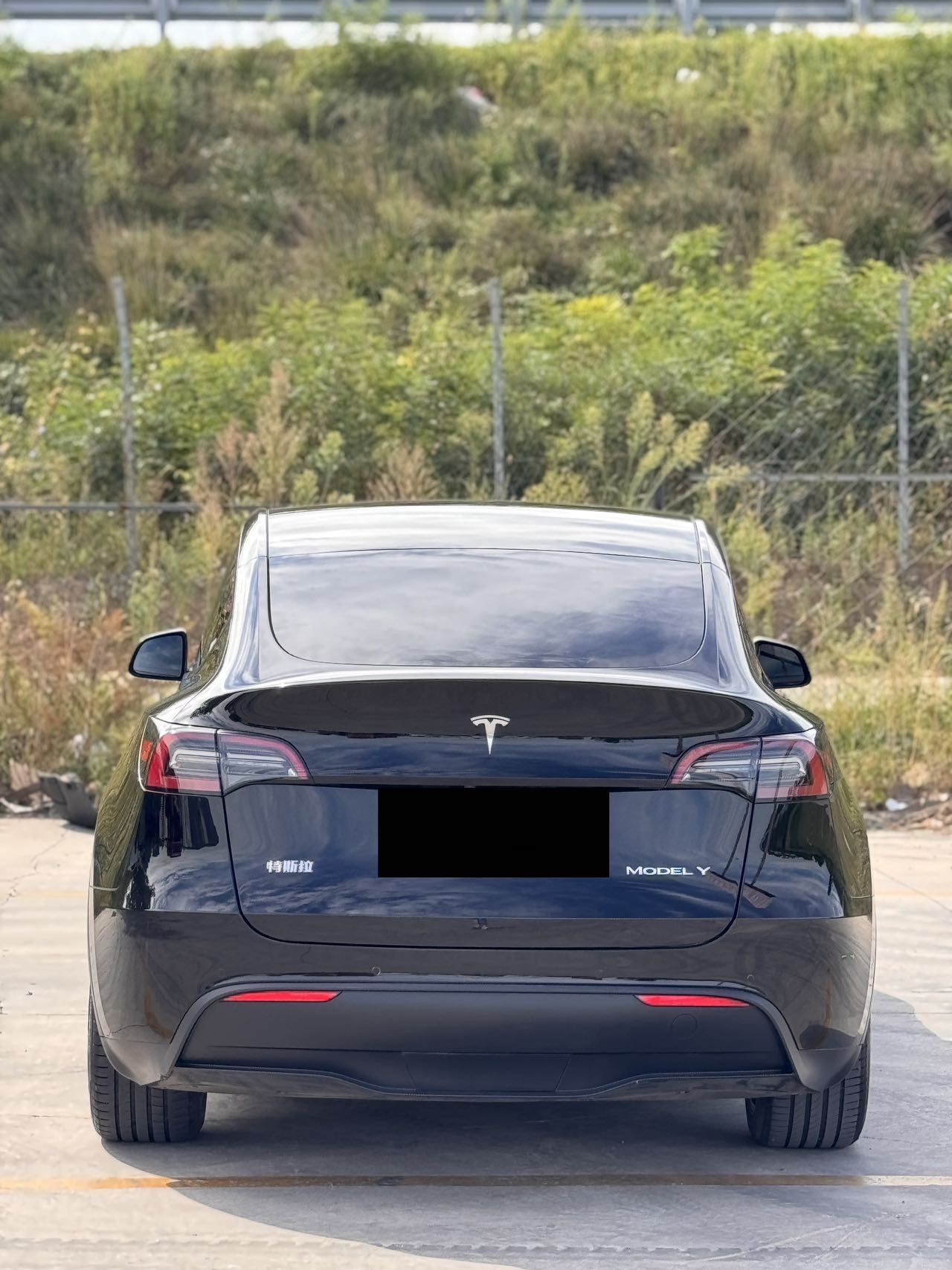 Tesla Model Y 2022 car image #9