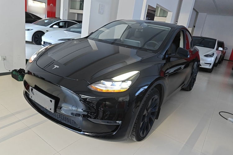 Tesla Model Y 2021 car image #2
