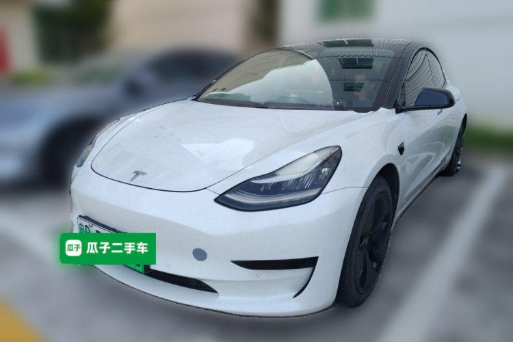 Tesla Model 3 2020 #2 Tesla Model 3 2020 car image #2