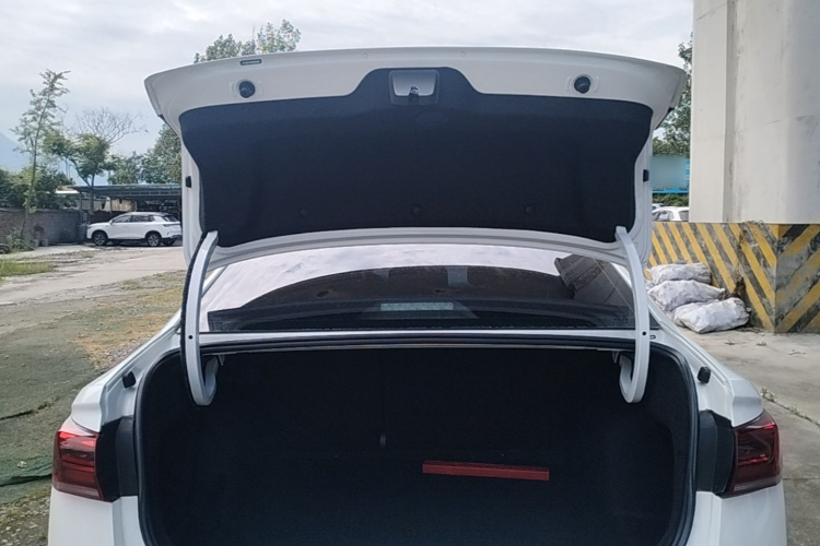 Volkswagen Bora 2020 car image #19
