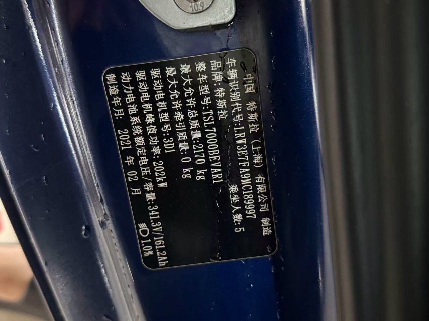 Tesla Model 3 2021 car image #15
