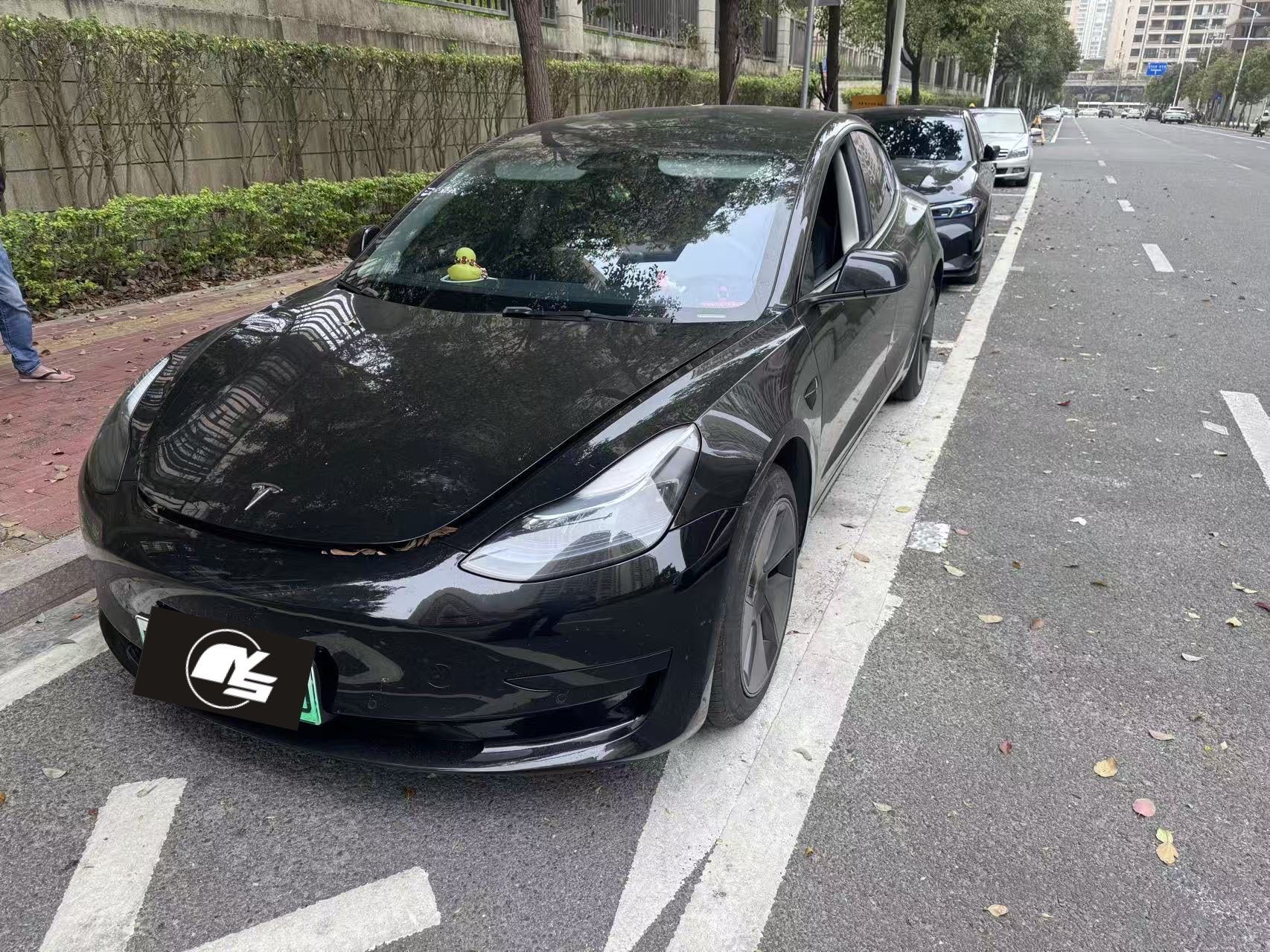 Tesla Model 3 2023 Tesla Model 3 2023 immagine di auto