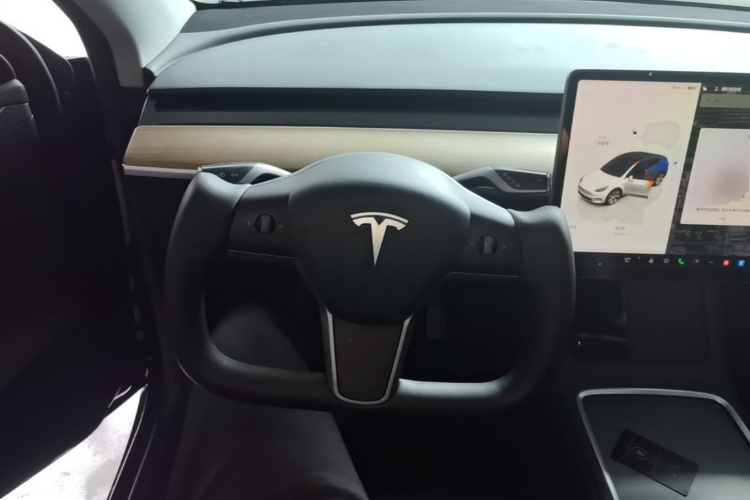 Tesla Model Y 2022 car image #11