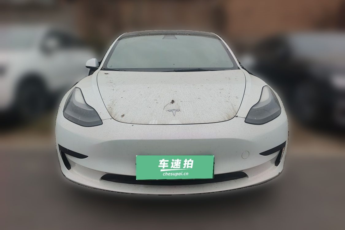 Tesla Model 3 2021 car image #5