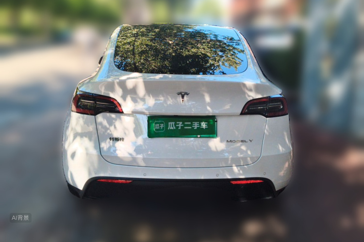 Tesla Model Y 2022 car image #6
