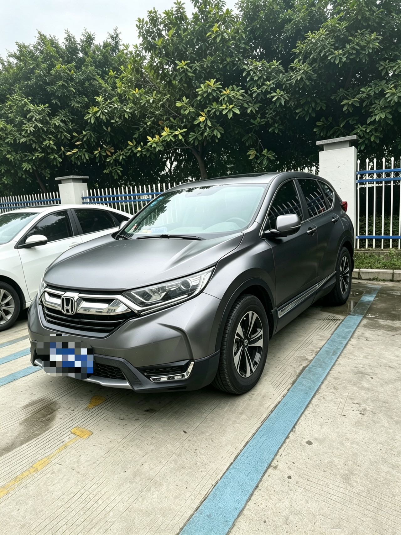 Honda CR-V 2020 Honda CR-V 2020 car image