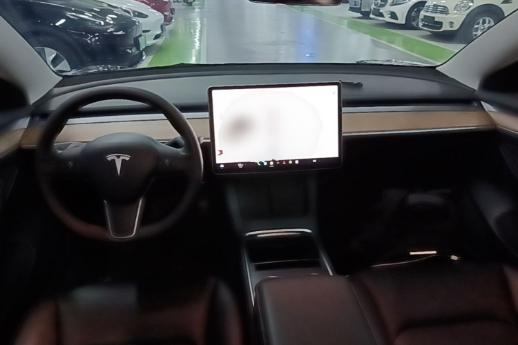 Tesla Model 3 2021 car image #10