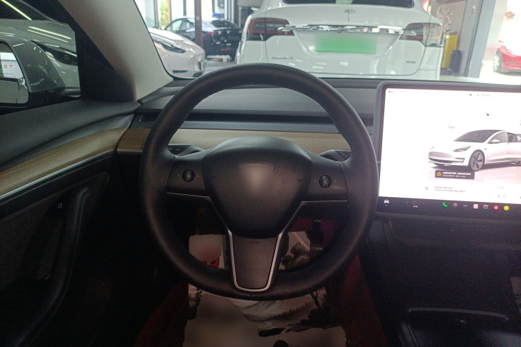 Tesla Model 3 2023 car image #15