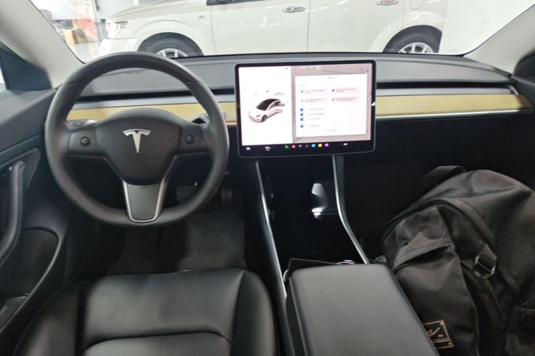 Tesla Model 3 2020 #10 Tesla Model 3 2020 car image #10