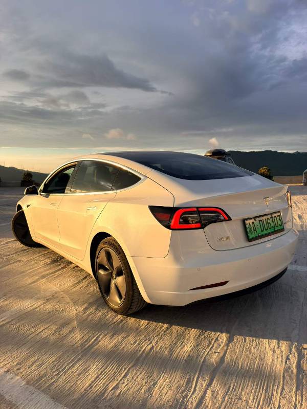 Tesla Model 3 2020 #4 Tesla Model 3 2020 car image #4