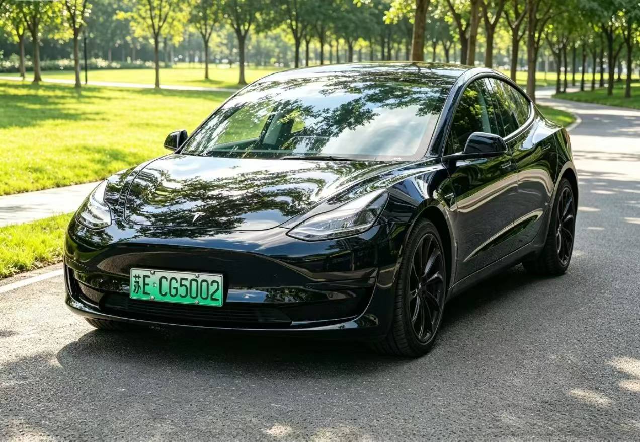 Tesla Model 3 2022 car image 