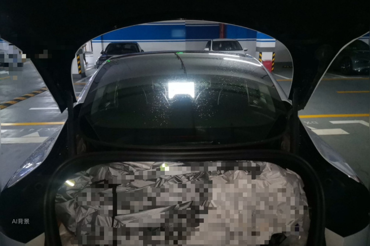 Tesla Model 3 2023 immagine di auto #21