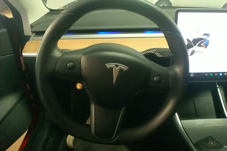 Tesla Model 3 2020 car image #11