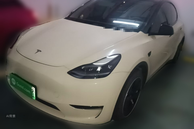 Tesla Model Y 2021 car image #2