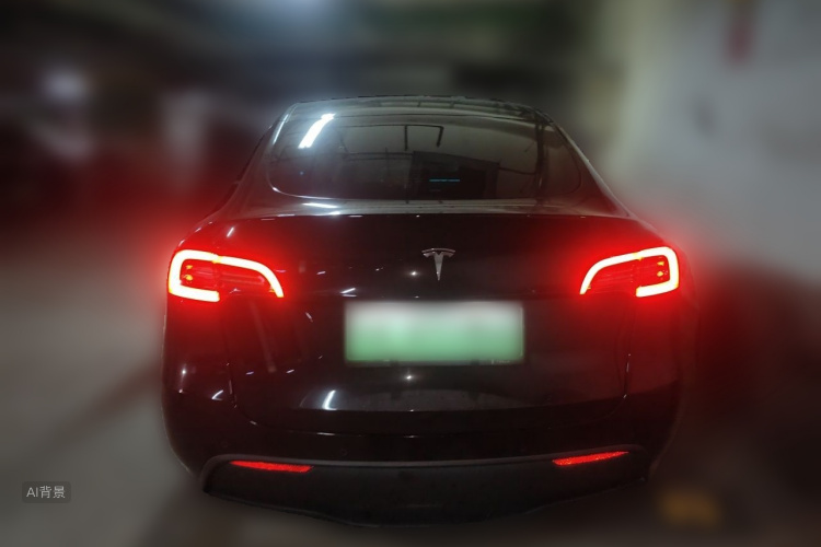 Tesla Model Y 2021 car image #6