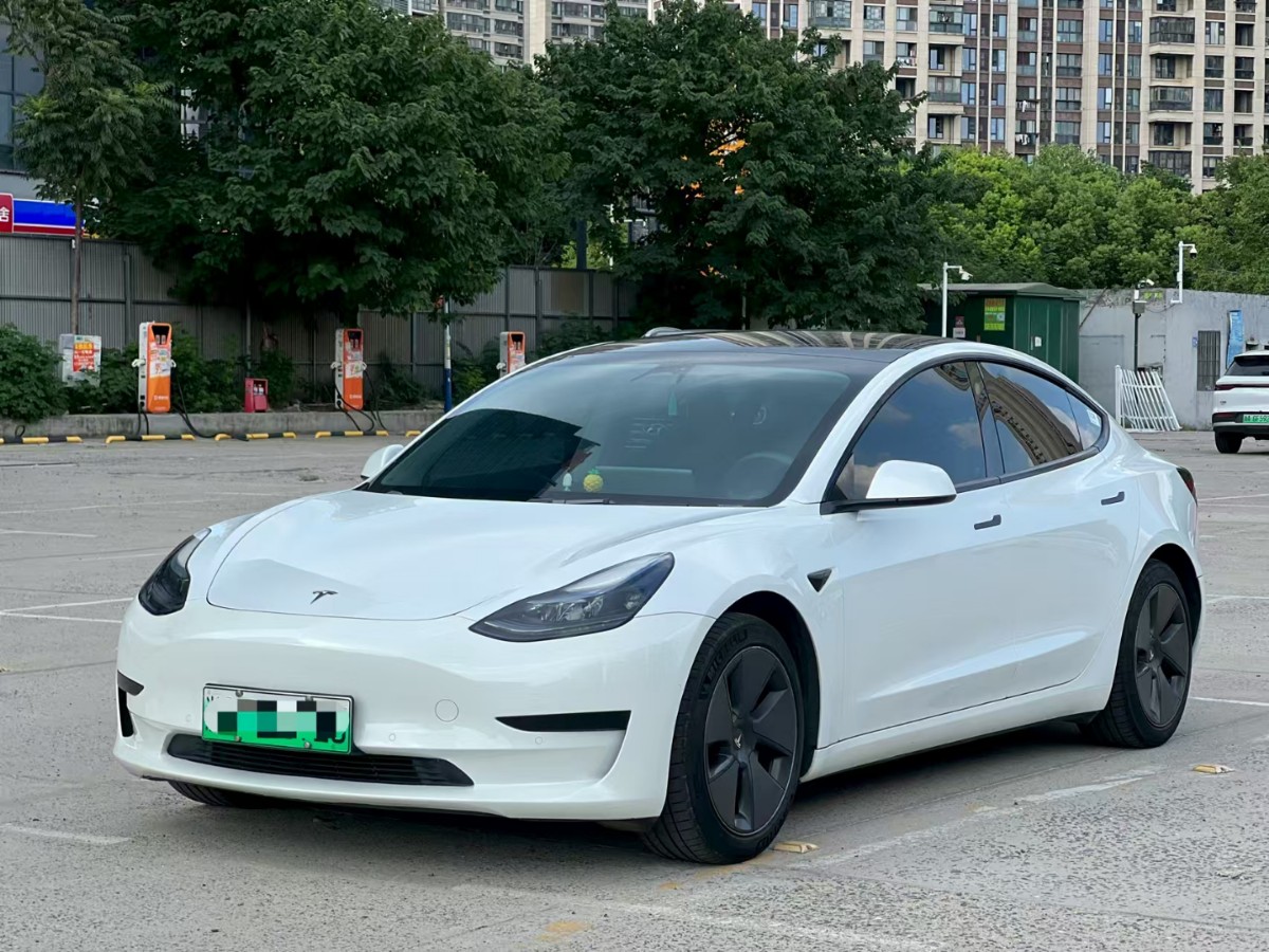 Tesla Model 3 2022 Tesla Model 3 2022 car image