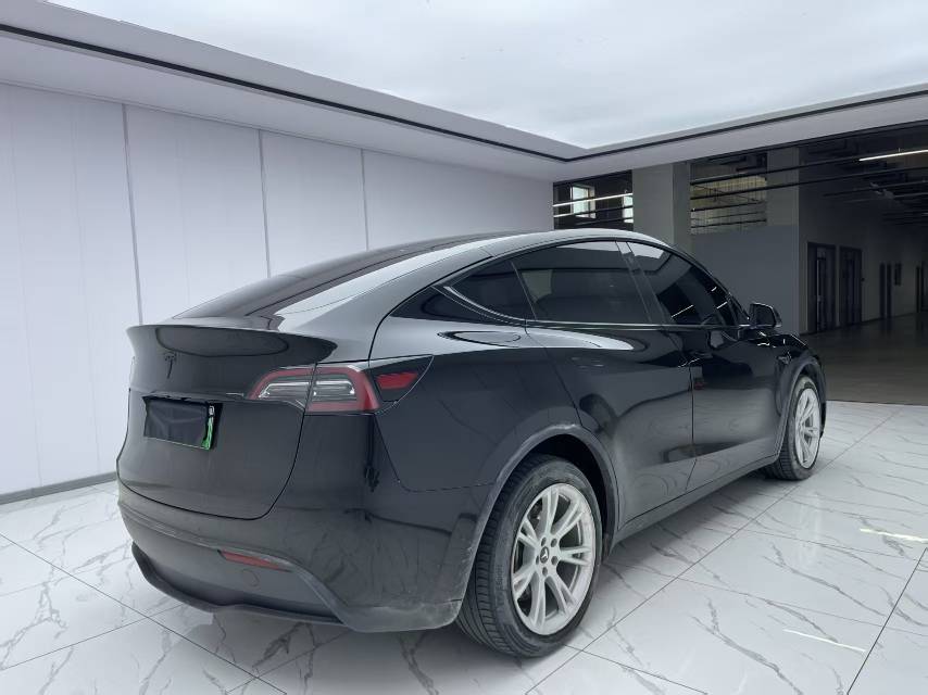 Tesla Model Y 2021 car image #9