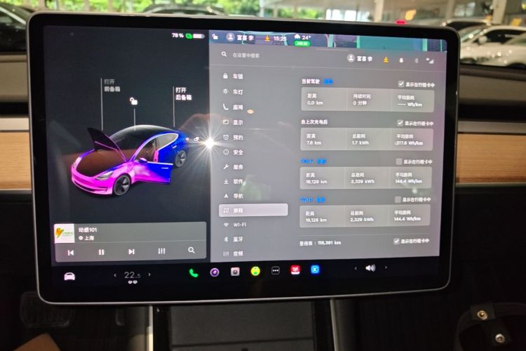Tesla Model 3 2020 car image #12