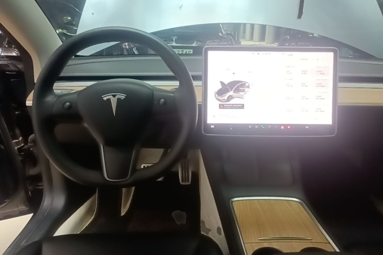 Tesla Model 3 2023 immagine di auto #10