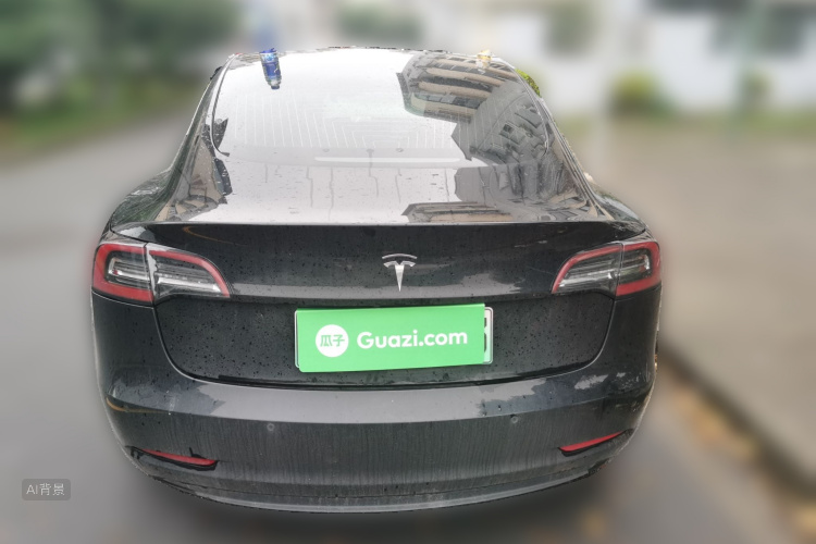 Tesla Model 3 2020 car image #6