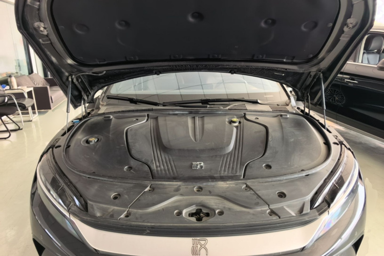 BYD Han 2023 car image #20