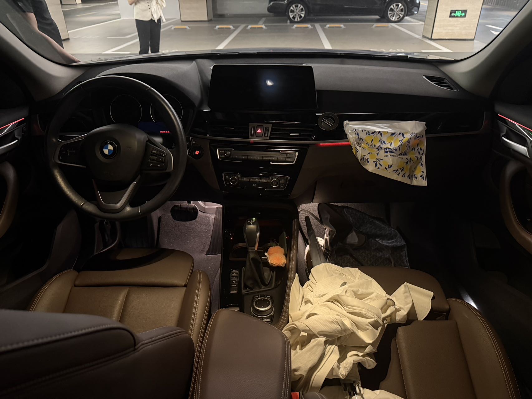 BMW X1 New Energy 2020 car image #4