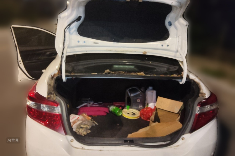 Toyota Vios 2015 car image #21