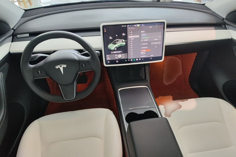 Tesla Model Y 2021 car image #10