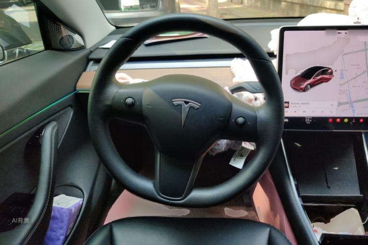 Tesla Model 3 2020 immagine di auto #12