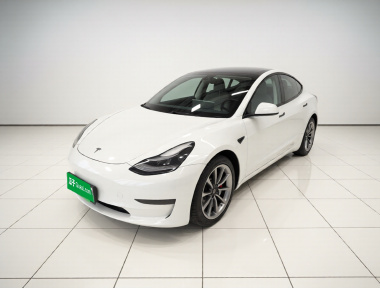 Tesla Model 3 2021 car image 