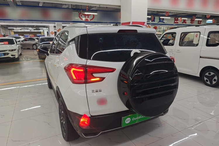 BYD Yuan Pro 2021 car image #5
