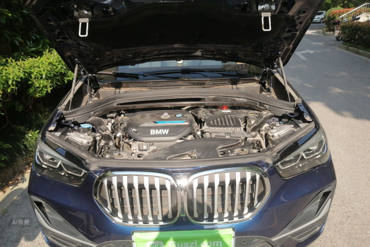 BMW X1 New Energy 2020 car image #22