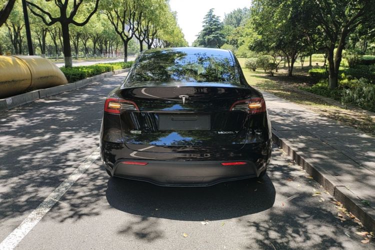 Tesla Model Y 2022 car image #6