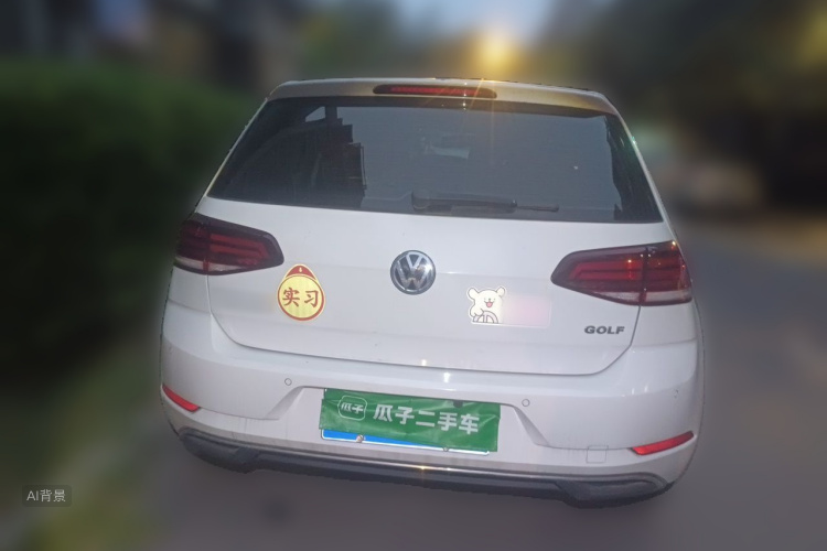 Volkswagen Golf 2019 #6 Volkswagen Golf 2019 car image #6