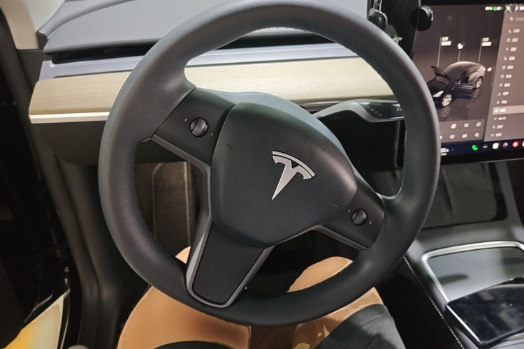 Tesla Model Y 2022 #11 Tesla Model Y 2022 car image #11