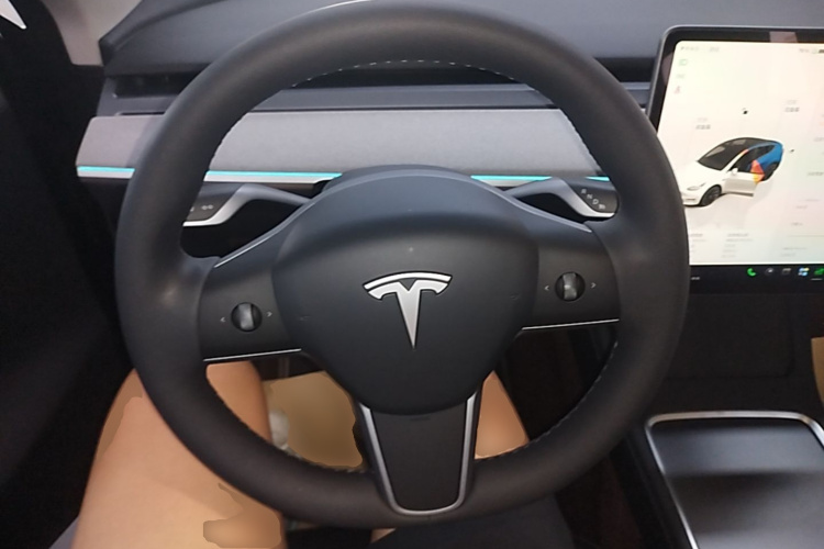 Tesla Model Y 2023 car image #11