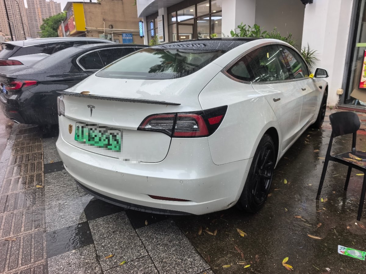 Tesla Model 3 2020 car image #4