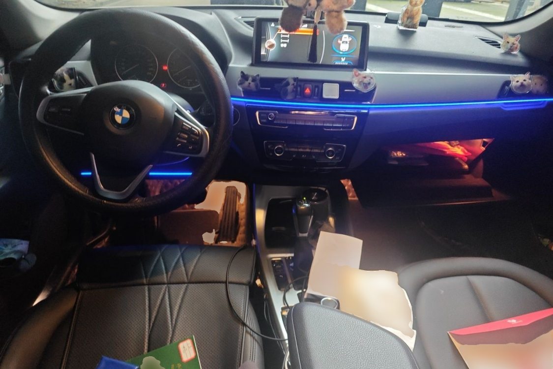 BMW X1 2016 #21 BMW X1 2016 car image #21