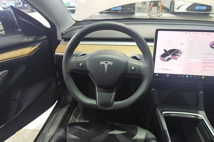 Tesla Model 3 2021 car image #11