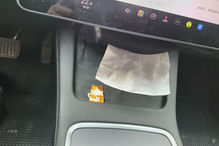 Tesla Model 3 2021 car image #15