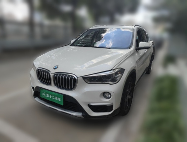 BMW X1 2019 car image 