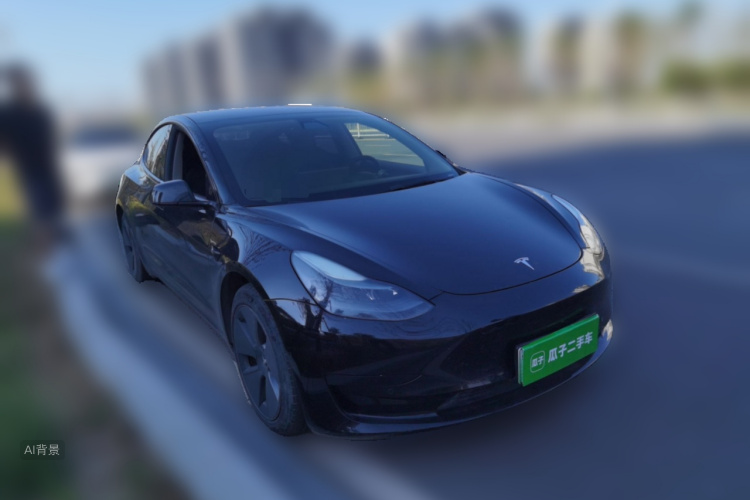 Tesla Model 3 2021 #4 Tesla Model 3 2021 car image #4