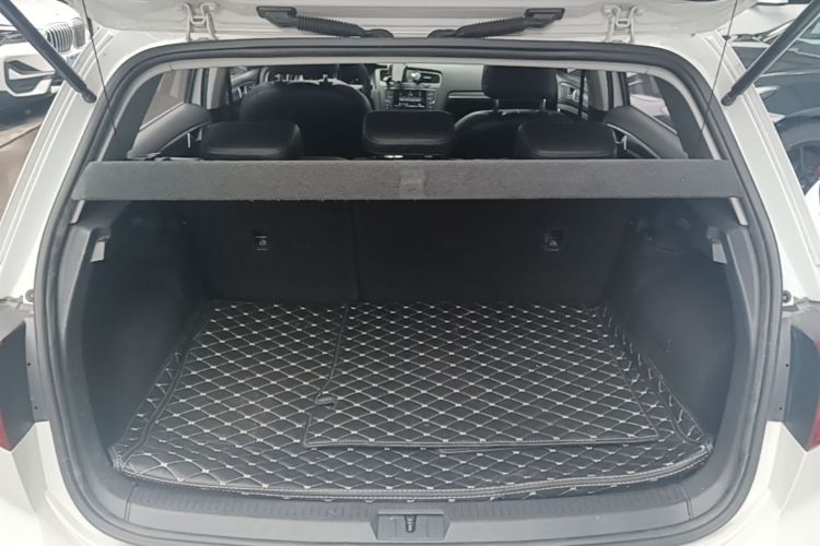 Volkswagen Golf 2015 car image #19