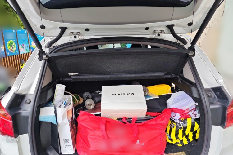 BMW X1 2017 car image #21