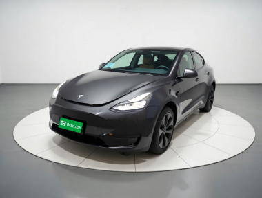 Tesla Model Y 2024 Tesla Model Y 2024 car image
