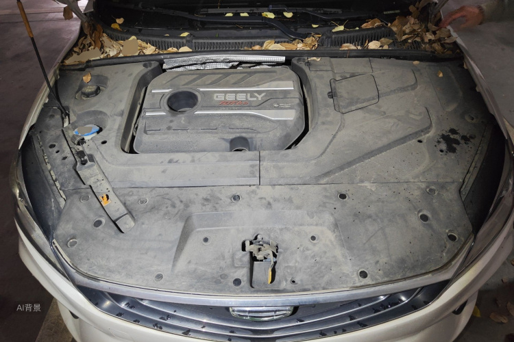 GEELY Binray 2021 imagen de coche #22