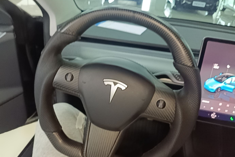 Tesla Model 3 2022 immagine di auto #15