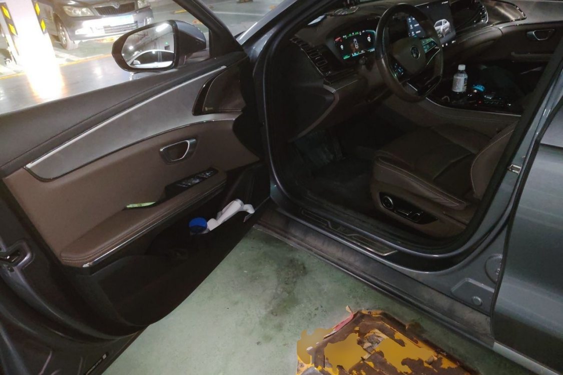 BYD Han 2021 #23 BYD Han 2021 car image #23
