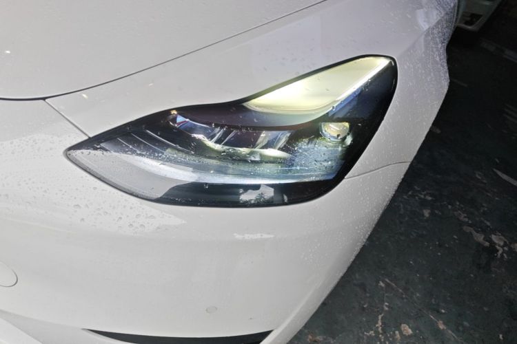 Tesla Model Y 2023 #23 Tesla Model Y 2023 car image #23